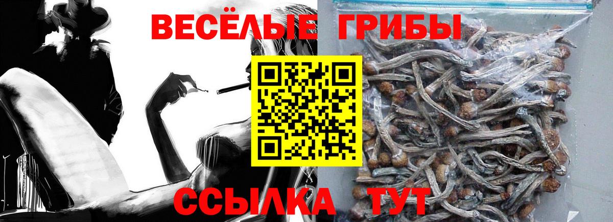 Галлюциногенные грибы мухоморы Алейск